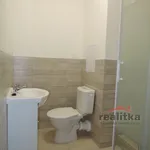 Rent 1 bedroom apartment in Opava