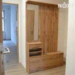 Rent 1 bedroom house in Prague