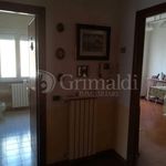 Affittasi Appartamento, Trilocale - Annunci Anzio (Roma) - Rif.539229