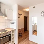 Rent 1 bedroom apartment of 37 m² in Chorzów