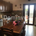 Rent 3 bedroom apartment of 90 m² in Capalbio