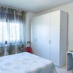 Rent a room in Roma