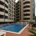 Rent 1 bedroom apartment in Braddon