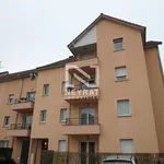 Rent 3 bedroom apartment of 67 m² in SUR SAONE