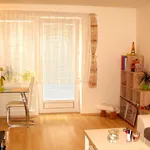 Rent 1 bedroom house in Brno