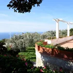 Rent 10 bedroom house of 350 m² in Anacapri