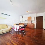 Rent 2 bedroom apartment of 60 m² in Milano