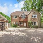 Rent 5 bedroom house in South East England