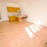 Pronajměte si 2 ložnic/e byt o rozloze 45 m² v Prague