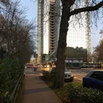 Rent a room of 80 m² in Frankfurt am Main