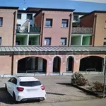 Rent 1 bedroom apartment of 45 m² in Reggio nell'Emilia