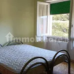 Rent 4 bedroom apartment of 50 m² in Campobasso