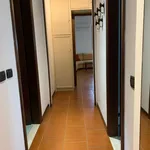 Rent 4 bedroom apartment of 120 m² in Segrate