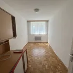 Miete 1 Schlafzimmer wohnung von 81 m² in Graz