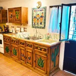 Rent 1 bedroom apartment in Guanajuato