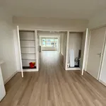 Rent 1 bedroom apartment of 62 m² in Rotterdam