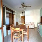 Rent 3 bedroom apartment of 65 m² in Roma