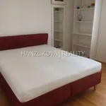 Rent 1 bedroom house of 150 m² in České Budějovice