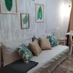 Alquilar 13 dormitorio apartamento en Córdoba