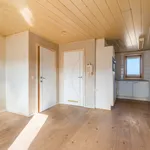 Appartement de 35 m² avec 1 chambre(s) en location à Temse