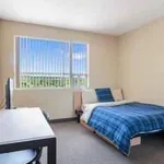 Rent 1 bedroom apartment in Hamilton