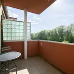 Rent 2 bedroom apartment in Zlín