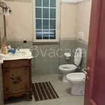 Rent 2 bedroom apartment of 55 m² in Velletri