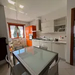 Rent 2 bedroom apartment of 75 m² in Turin