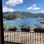 Rent 9 bedroom apartment of 230 m² in Rapallo