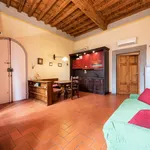 Rent 1 bedroom apartment in Florence