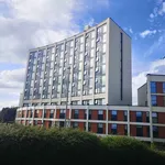 Rent 1 bedroom apartment in Exeter