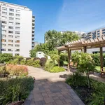 Appartement à Louer - 4300 De Maisonneuve Boulevard West, Westmount - 24 photos | Logis Québec