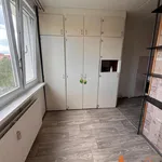 Pronájem bytu 1+1 40m²