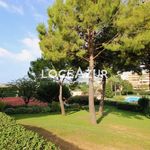 Rent 1 bedroom apartment of 33 m² in ANTIBES