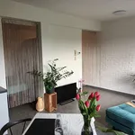 Rent 1 bedroom apartment in Leuven