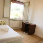 Rent 2 bedroom apartment in Florence