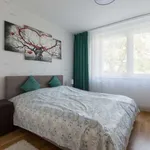 Miete 1 Schlafzimmer wohnung von 51 m² in berlin