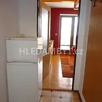 Rent 1 bedroom apartment of 25 m² in Capital City of Prague