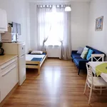 Rent 1 bedroom apartment of 48 m² in Teplice