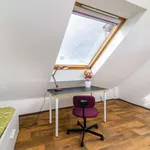 Rent a room in prague