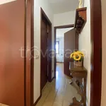 Rent 6 bedroom apartment of 100 m² in Forlì