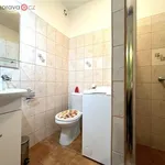 Pronajměte si 1 ložnic/e dům o rozloze 40 m² v Rusava