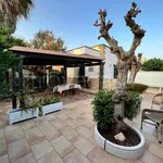 Rent 1 bedroom house of 45 m² in Carovigno