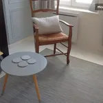 Rent 1 bedroom apartment of 30 m² in Lille