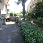 Rent 2 bedroom apartment of 70 m² in Catania