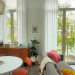 Rent 1 bedroom apartment in Antwerpen