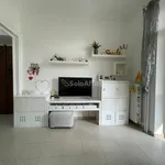 Rent 3 bedroom apartment of 63 m² in Turin