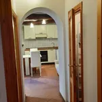 Rent 1 bedroom apartment of 45 m² in Montevarchi