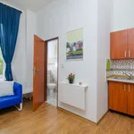 Studio o rozloze 17 m² v prague