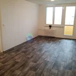 Rent 2 bedroom apartment of 49 m² in Ostrava